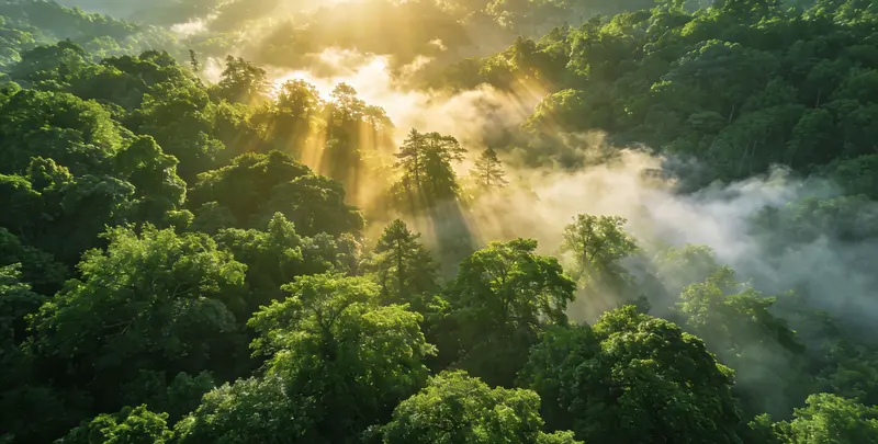 烟台肺癌119基因检测图片1